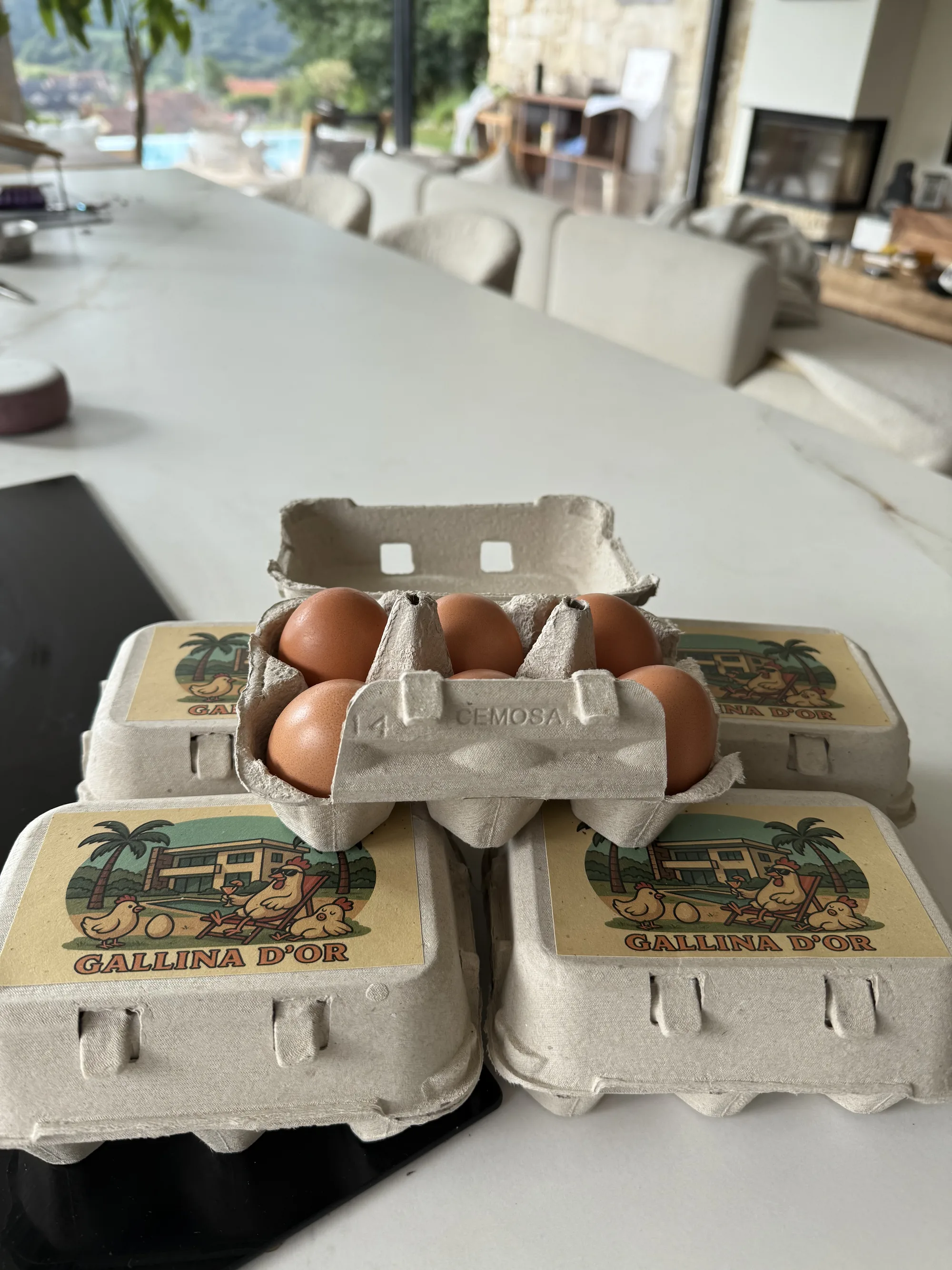 Cartones Gallina D'or con huevos caseros
