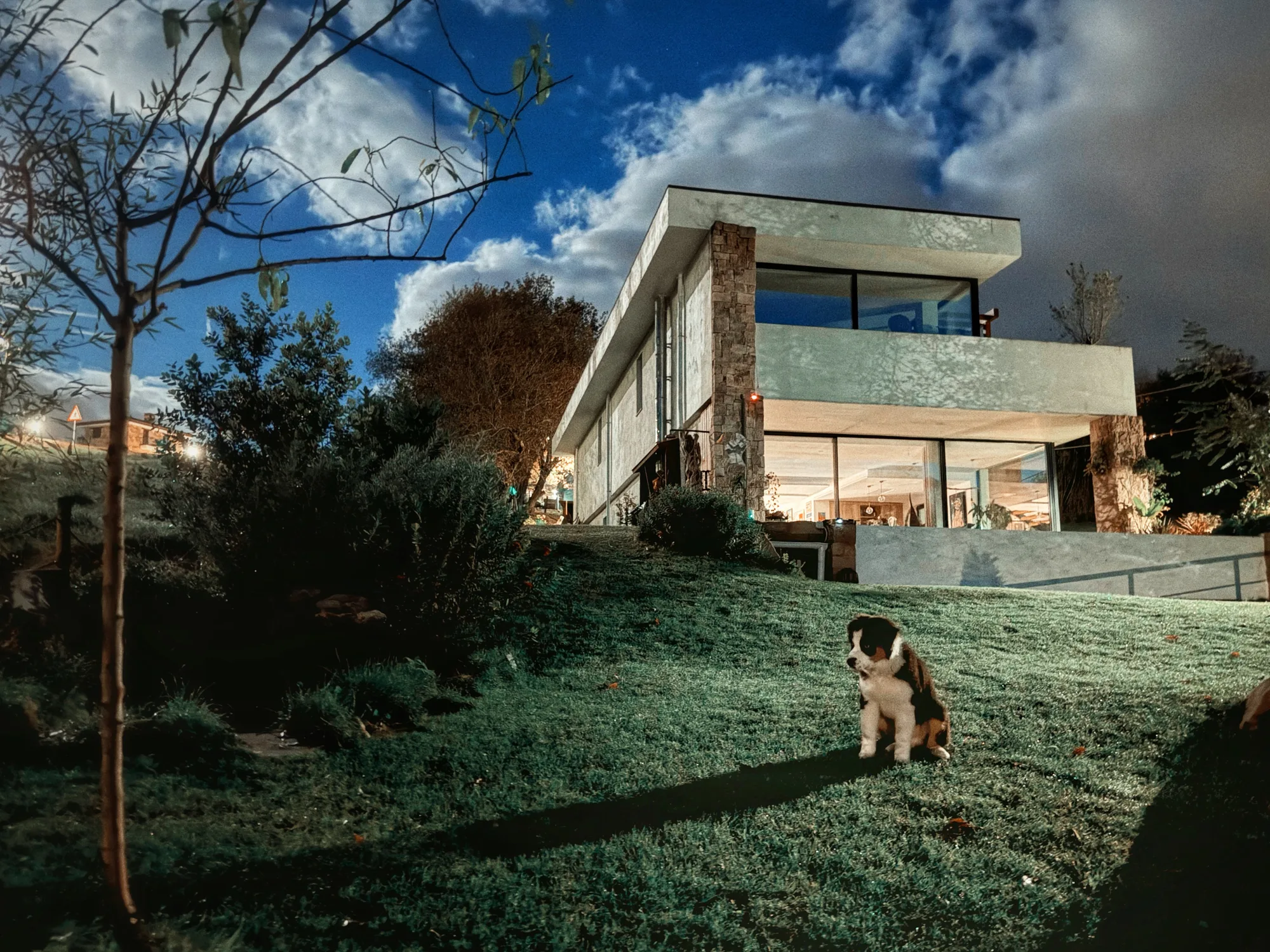 Casa de noche con perro en el jardín