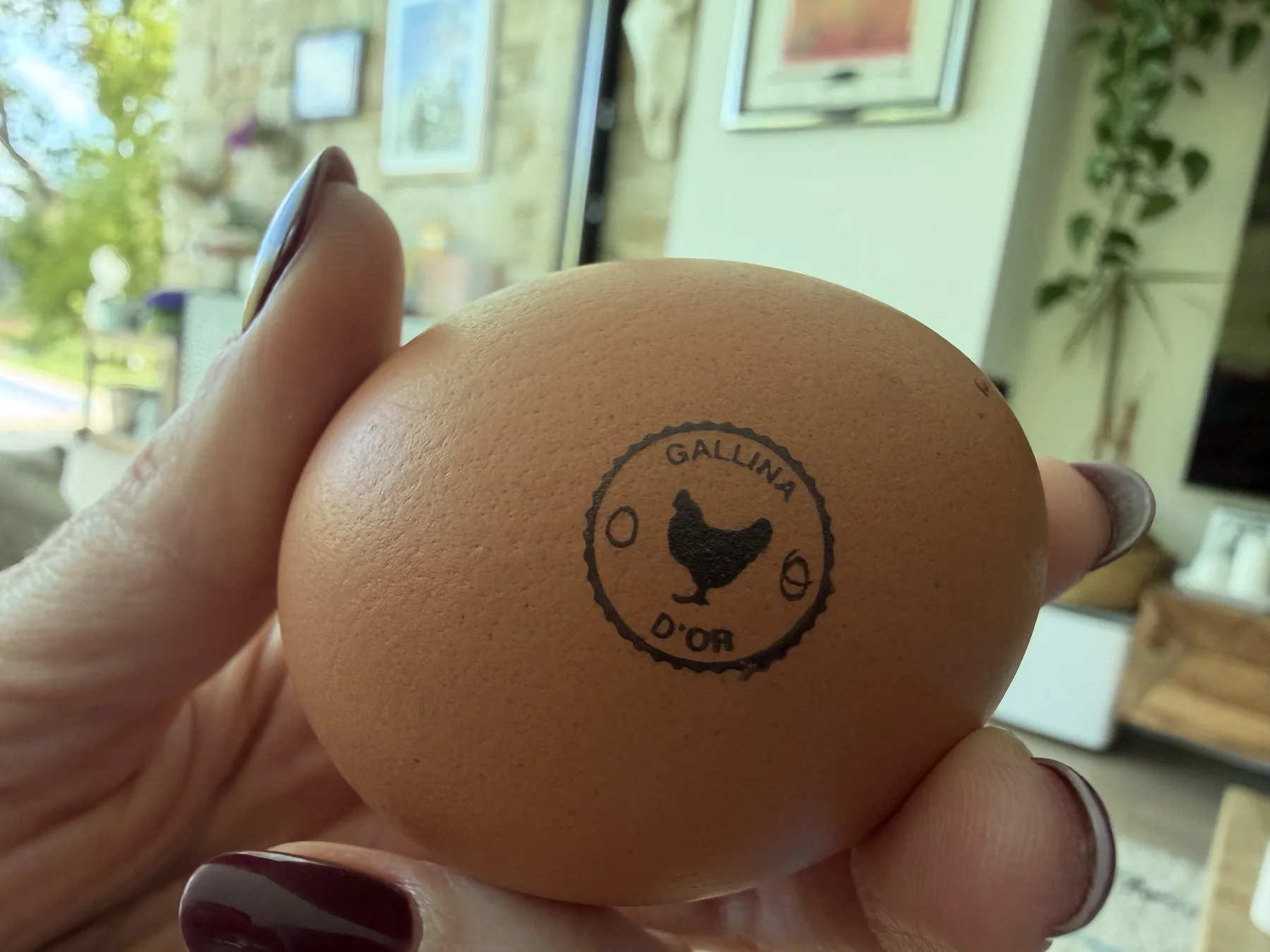 Huevo Gallina D'or marcado con sello